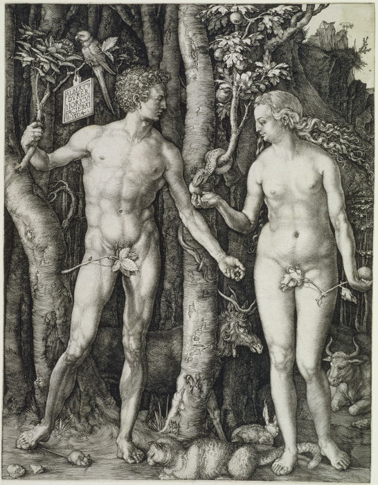 Adam und Eva (Der Sündenfall) von Albrecht Dürer