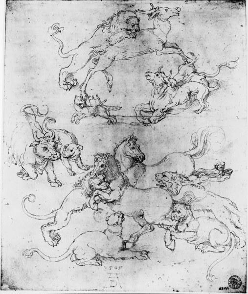 A.Dürer, Study of Attacked Animals/1505 von Albrecht Dürer