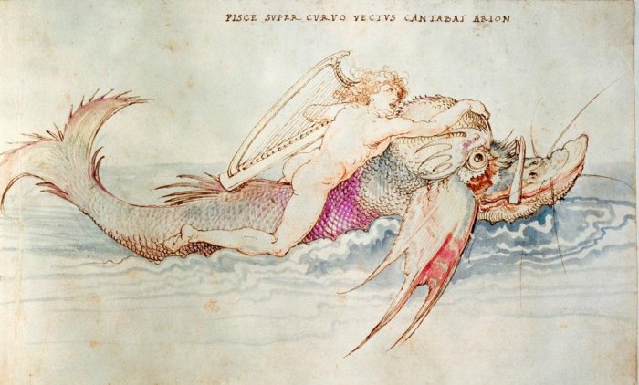 Arion wird von einem Delphin gerettet von Albrecht Dürer