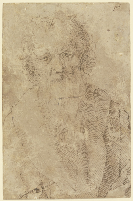 Bärtiger alter Mann von Albrecht Dürer