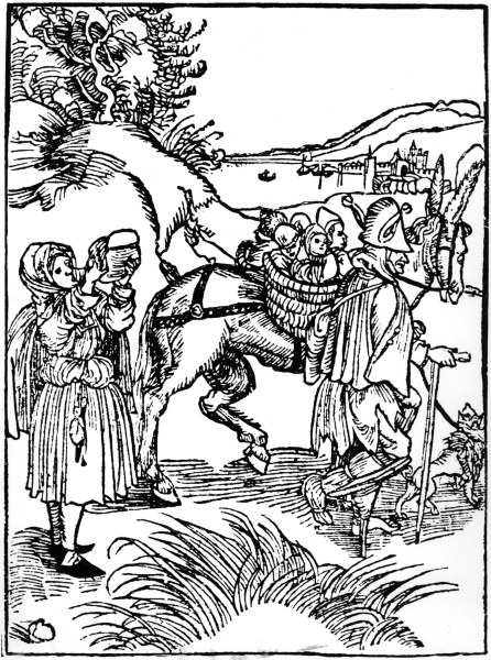 Brant / Ship of Fools / Woodcut / Dürer von Albrecht Dürer