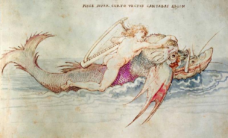 Der griechische Poet Arion reitet auf dem Delphin von Albrecht Dürer