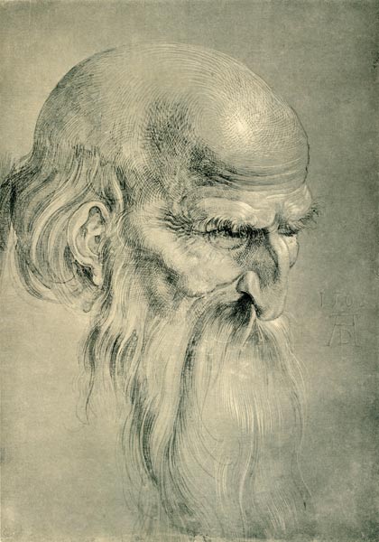 Head of an Apostles / Dürer / 1508 von Albrecht Dürer