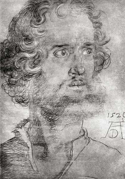Head of Mark the Evangelist von Albrecht Dürer