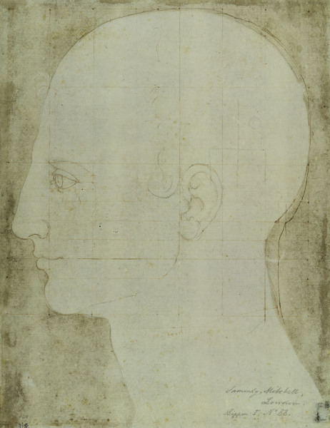 Kopf eines Mannes im Profil von Albrecht Dürer