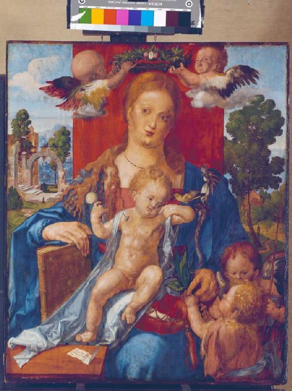 Die Madonna mit dem Zeisig von Albrecht Dürer