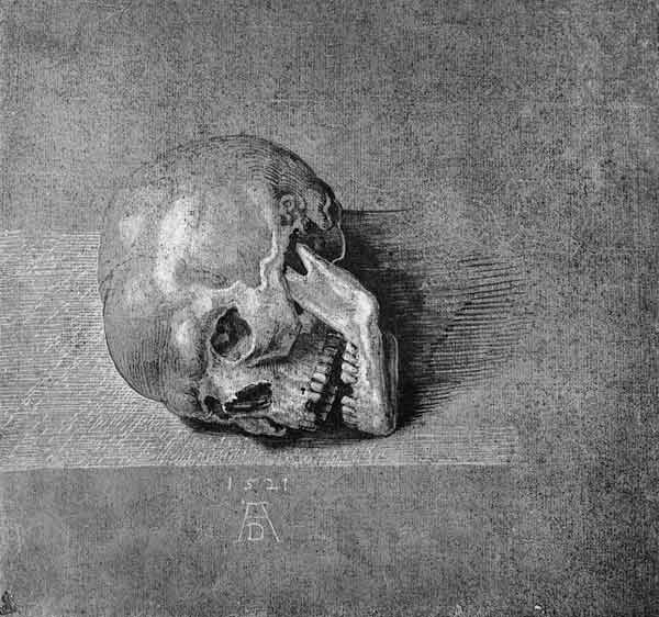 Ein Totenkopf von Albrecht Dürer