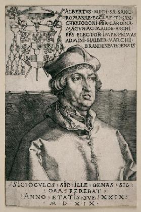 Albrecht von Brandenburg (''Kleiner Kardinal'') 1519