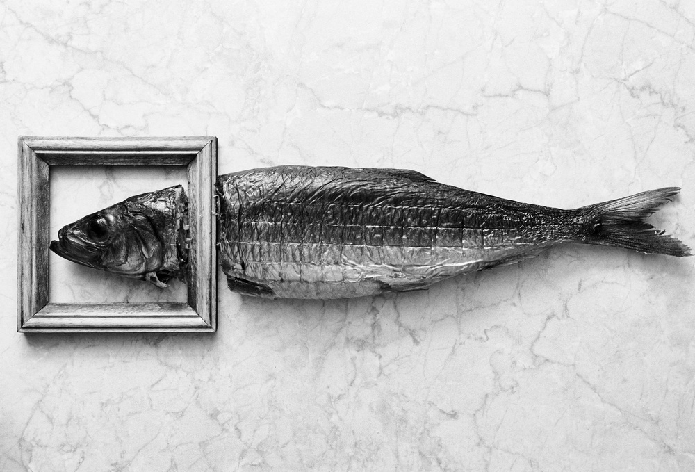 Fischporträt von Aleksandrova Karina