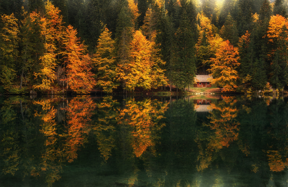 Herbstimpressionen von Ales Krivec