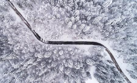 Straße durch den Winterwald
