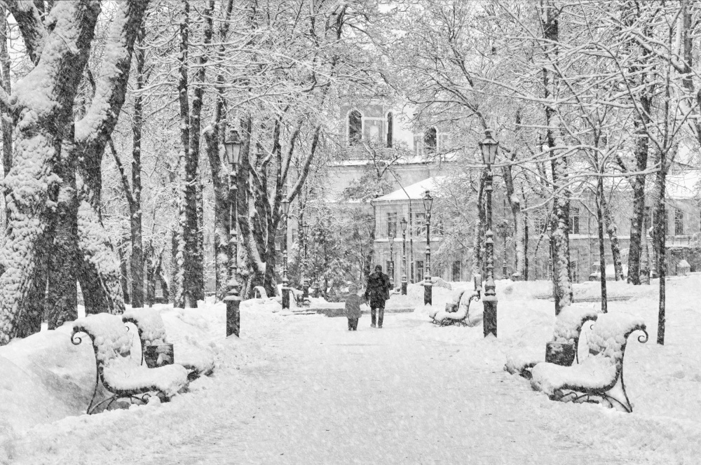 Spaziergang im Winterpark von Alexander Kiyashko