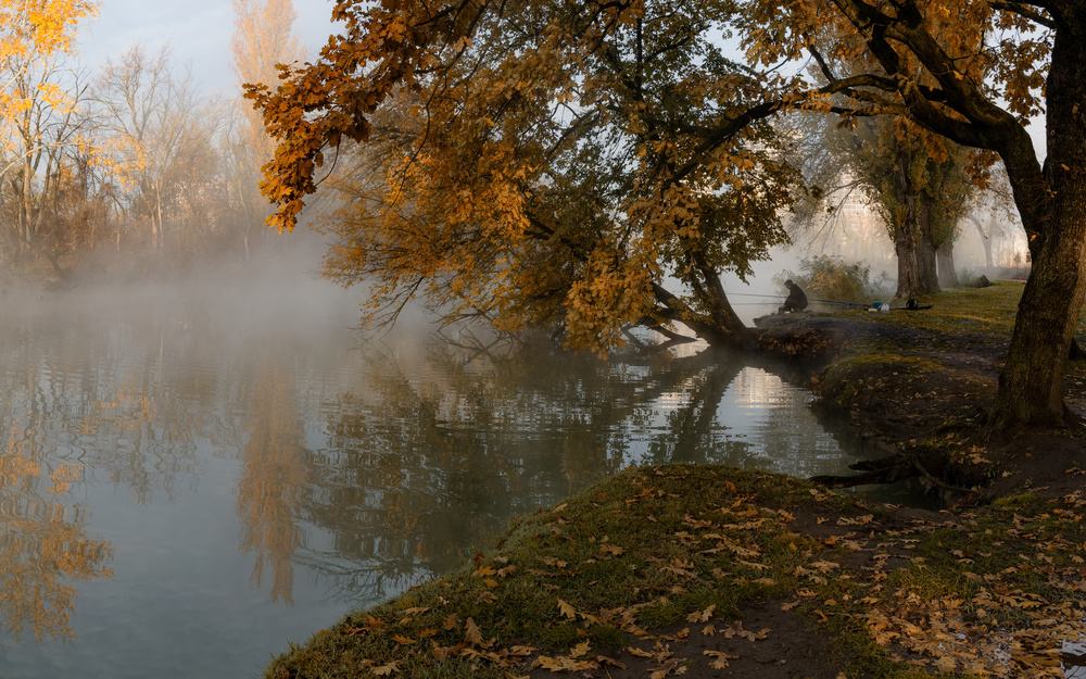 Nebliger Herbstmorgen mit einem einsamen Fischer von Alexander Plekhanov