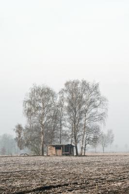 Hütte von Alexander Ruppel