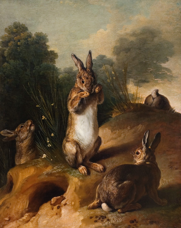 Rabbits von Alexandre-François Desportes