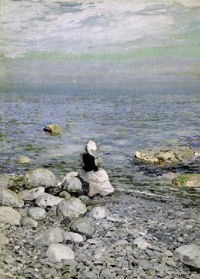 On the Shore of the Black Sea 1890s