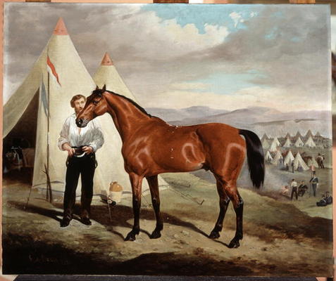 Sir Briggs, horse of Lord Tredegar (1831-1913) of the 17th Lancers, in Camp in Crimea 1854, 1856 (oi von Alfred de Prades