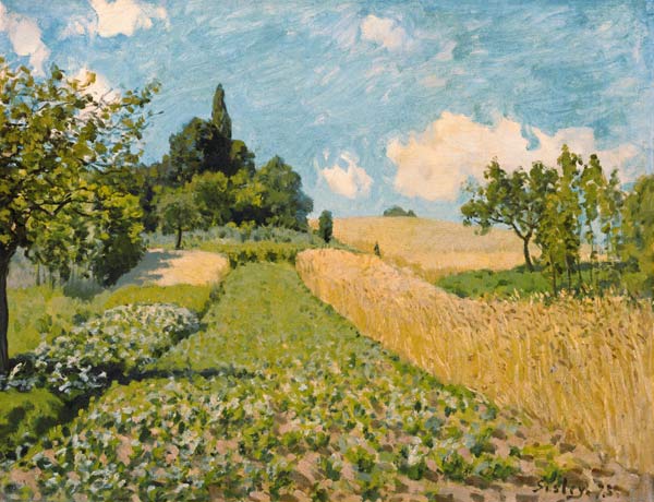 Sommerlandschaft (Kornfeld bei Argenteuil) von Alfred Sisley