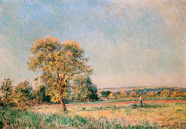 Sommerlandschaft mit großem Baum. von Alfred Sisley