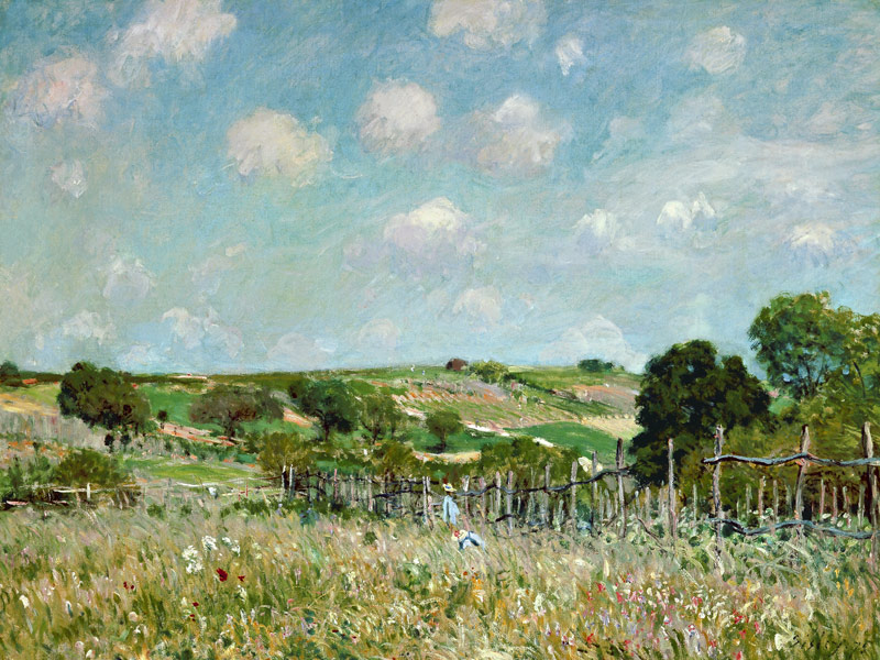 The Meadow. von Alfred Sisley