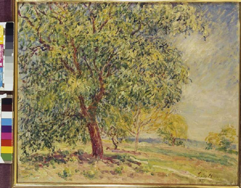 Nußbäume bei Sablons. von Alfred Sisley
