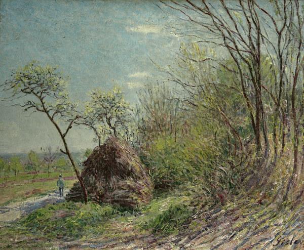 Sisley / Forest edge / c.1844 von Alfred Sisley