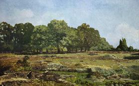 Allee von Kastanienbäumen im La Celle-Saint-Cloud c.1866-67