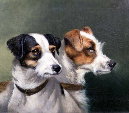 Two Fox Terriers von Alfred Wheeler
