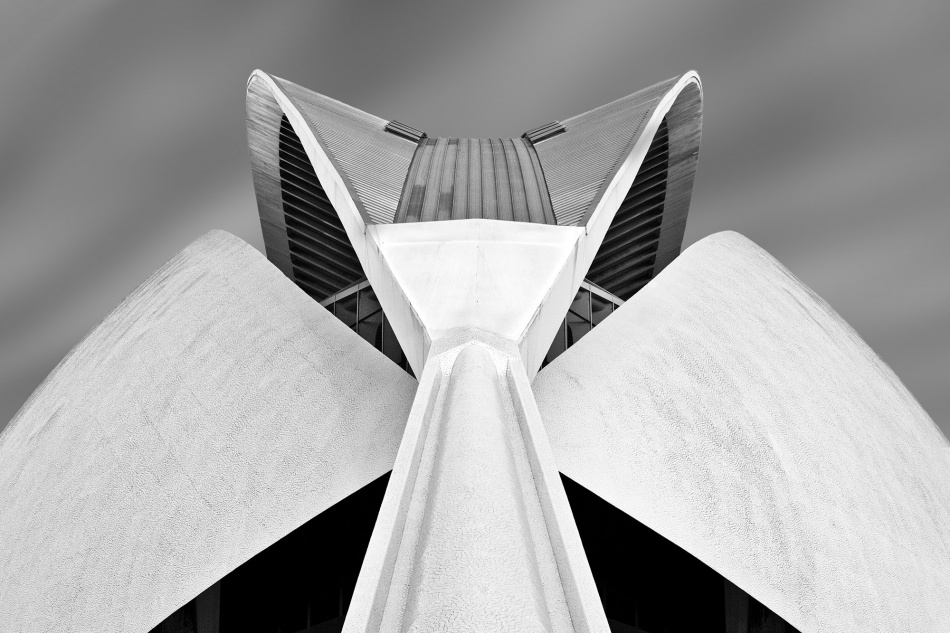 Calatrava von Alida Van Zaane