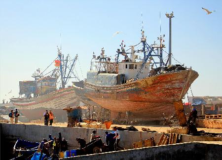 Fischereihafen Essaouira - Marokko