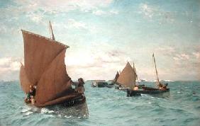 Luggers Picking up Moorings 1886