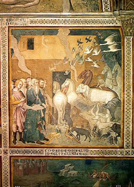 Noah Leading the Animals into the Ark von also Manfredi de Battilori Bartolo di Fredi