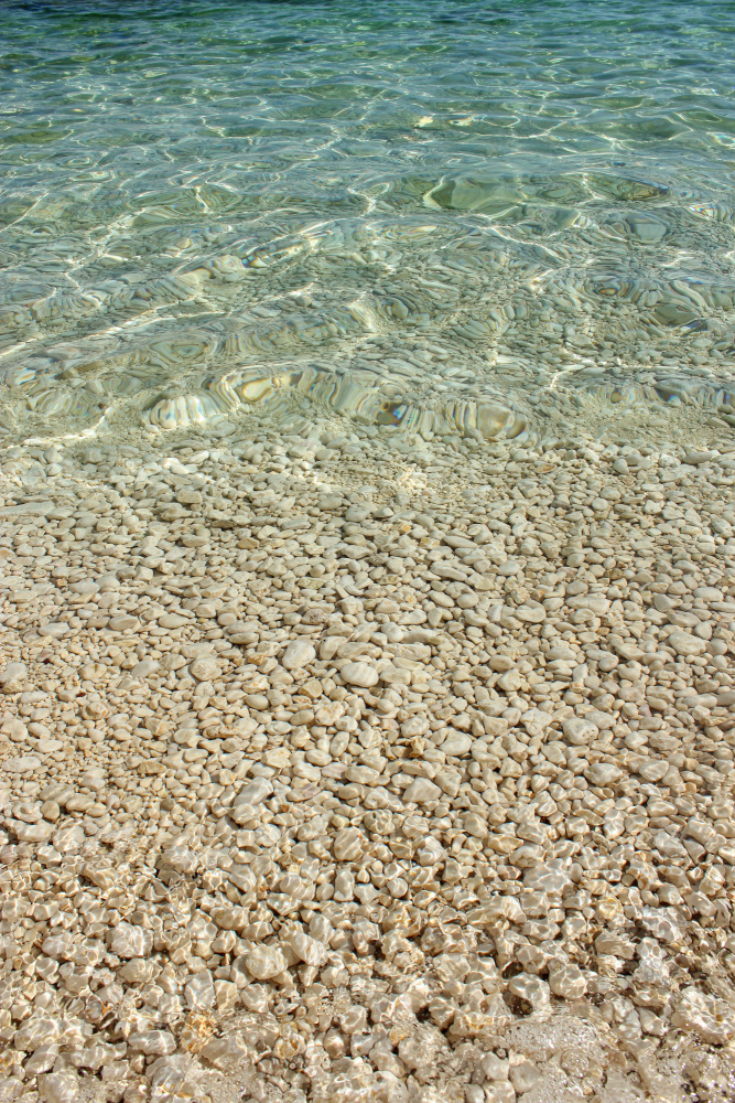 Aqua-Ozean und goldene Kieselsteine von Alyson Fennell
