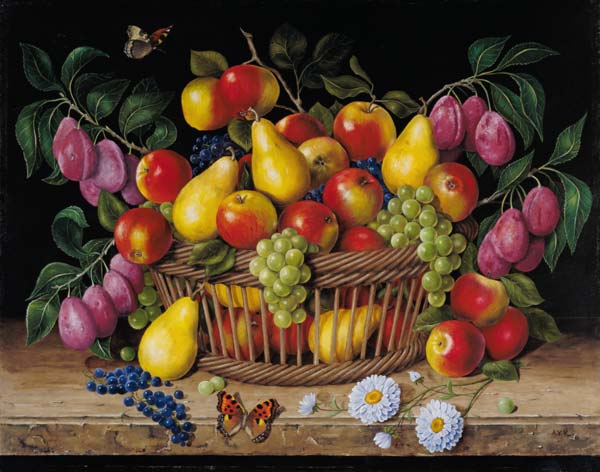 Apples, pears. grapes and plums von  Amelia  Kleiser