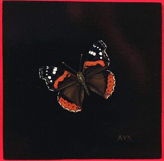 Red Admiral butterfly von  Amelia  Kleiser