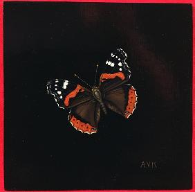 Red Admiral butterfly