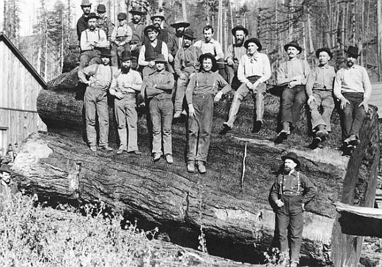 Woodcutters in California von American Photographer