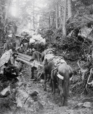 Climbing the Dyea Trail on the way to the Chilkoot Pass during the Klondike Gold Rush (1897-98) (b/w von American Photographer, (19th century)