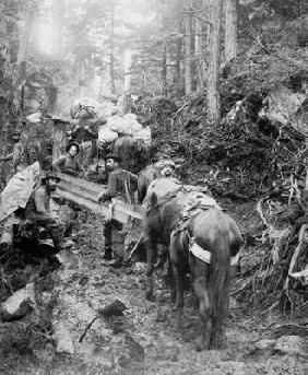 Climbing the Dyea Trail on the way to the Chilkoot Pass during the Klondike Gold Rush (1897-98) (b/w 16th