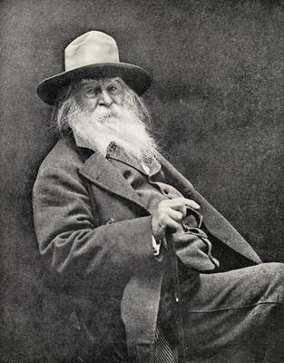 Walt Whitman (1819-91) (b/w photo) von American Photographer, (19th century)
