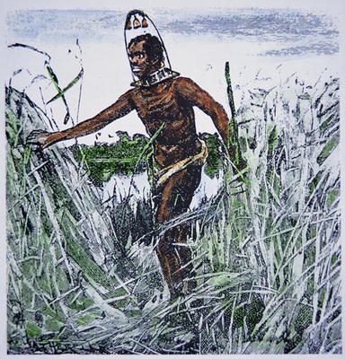 Runaway slave (coloured engraving) von American School