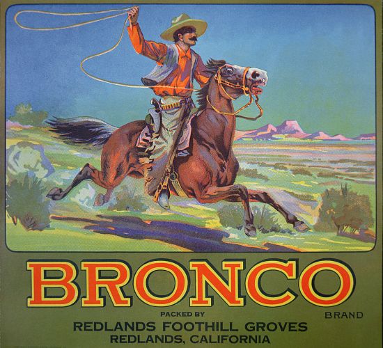 'Bronco Oranges' von American School, (20th century)