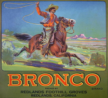 'Bronco Oranges', c.1900 (colour litho) von American School, (20th century)