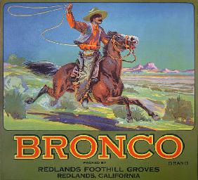 'Bronco Oranges' c.1900