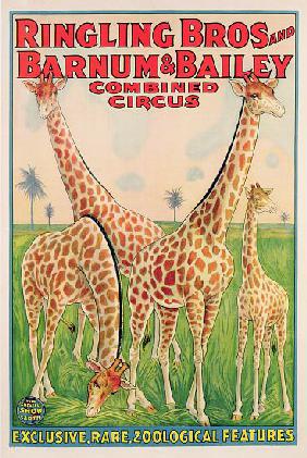 Poster advertising Ringling Bros and Barnum & Bailey Combined Circus c.1928