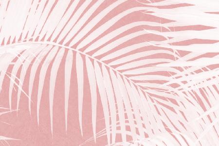 Palmblätter auf rosa Silhouette IV