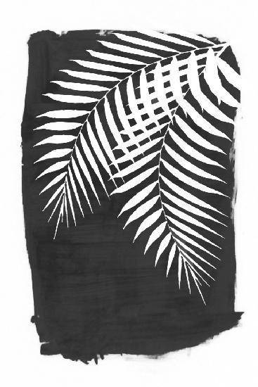 Schwarze Palmblätter-Laub-Silhouette