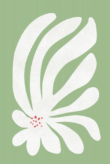 Weiße Chrysanthemenblume