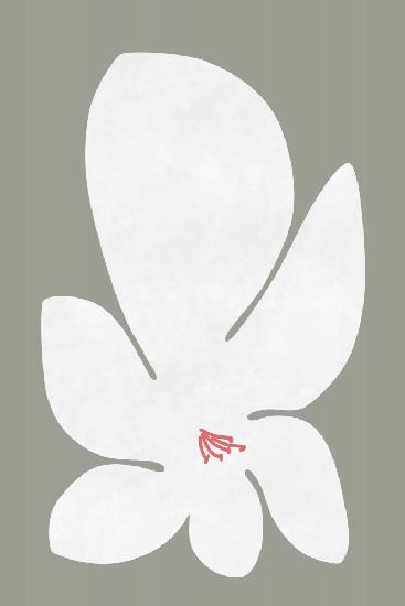 Weiße Lilienblume