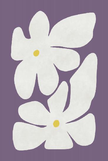 Weiße Narzissenblume